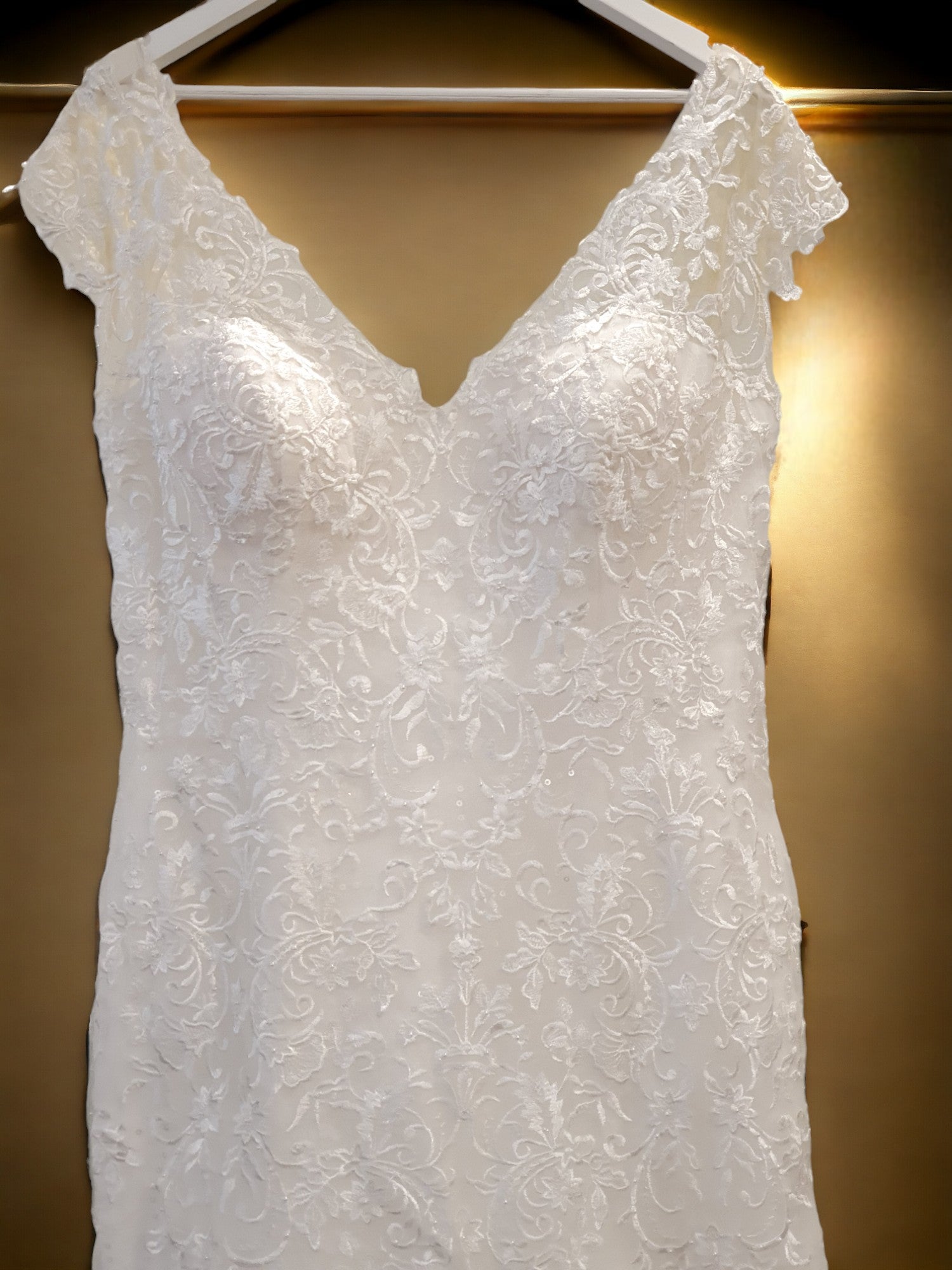 Brand New A-Line Gown with Long Train