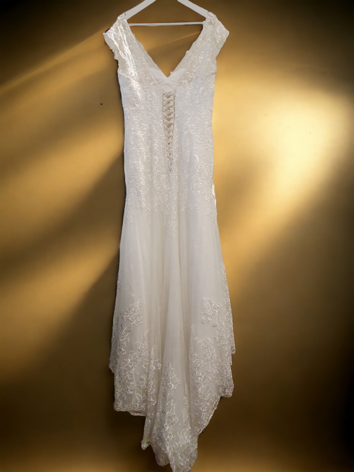 Brand New A-Line Gown with Long Train