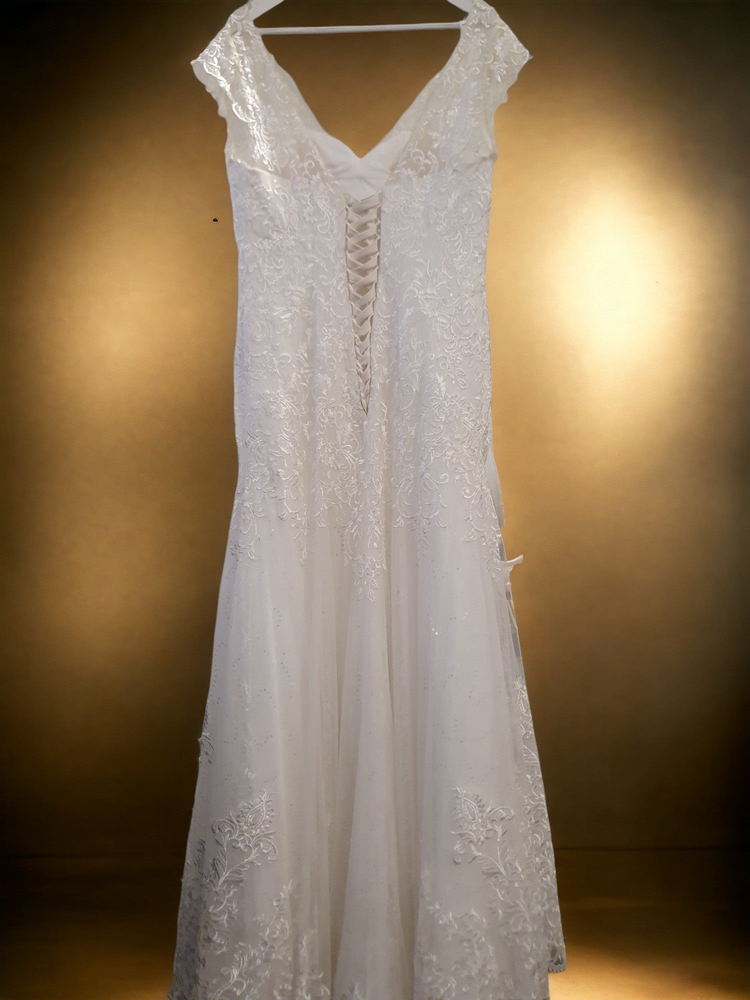 Brand New A-Line Gown with Long Train