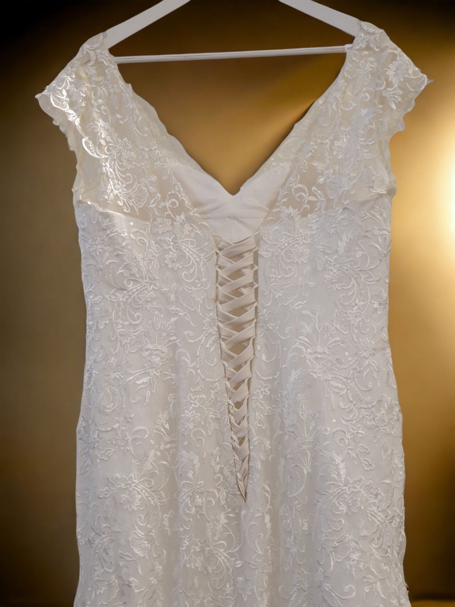 Brand New A-Line Gown with Long Train