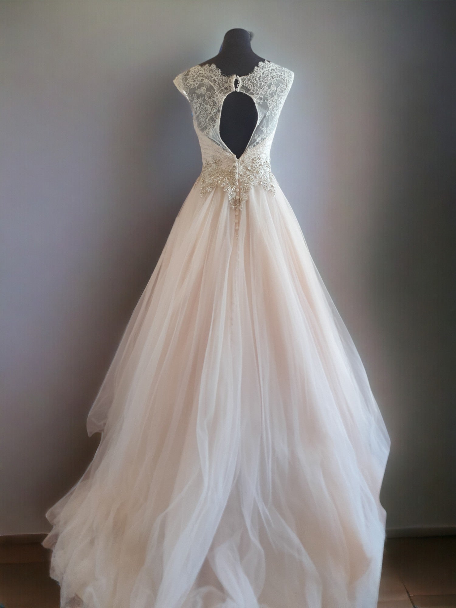 Champagne Princess Gown