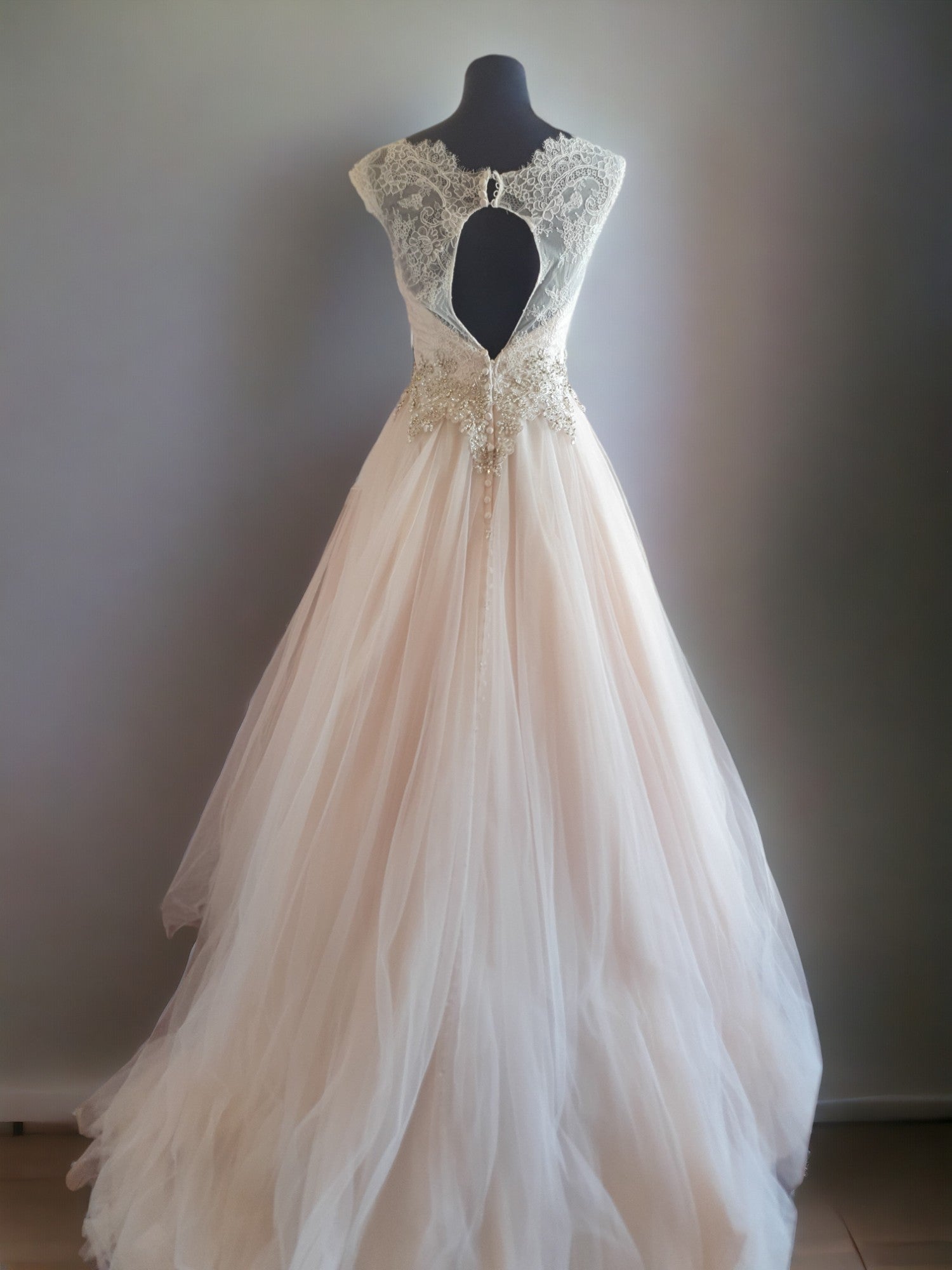 Champagne Princess Gown