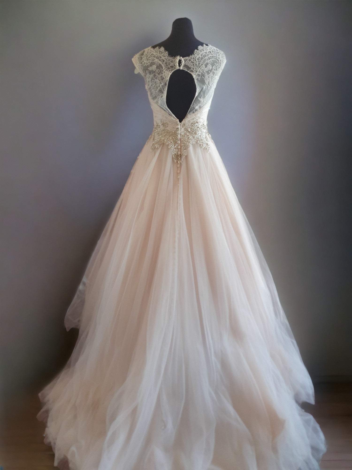Champagne Princess Gown
