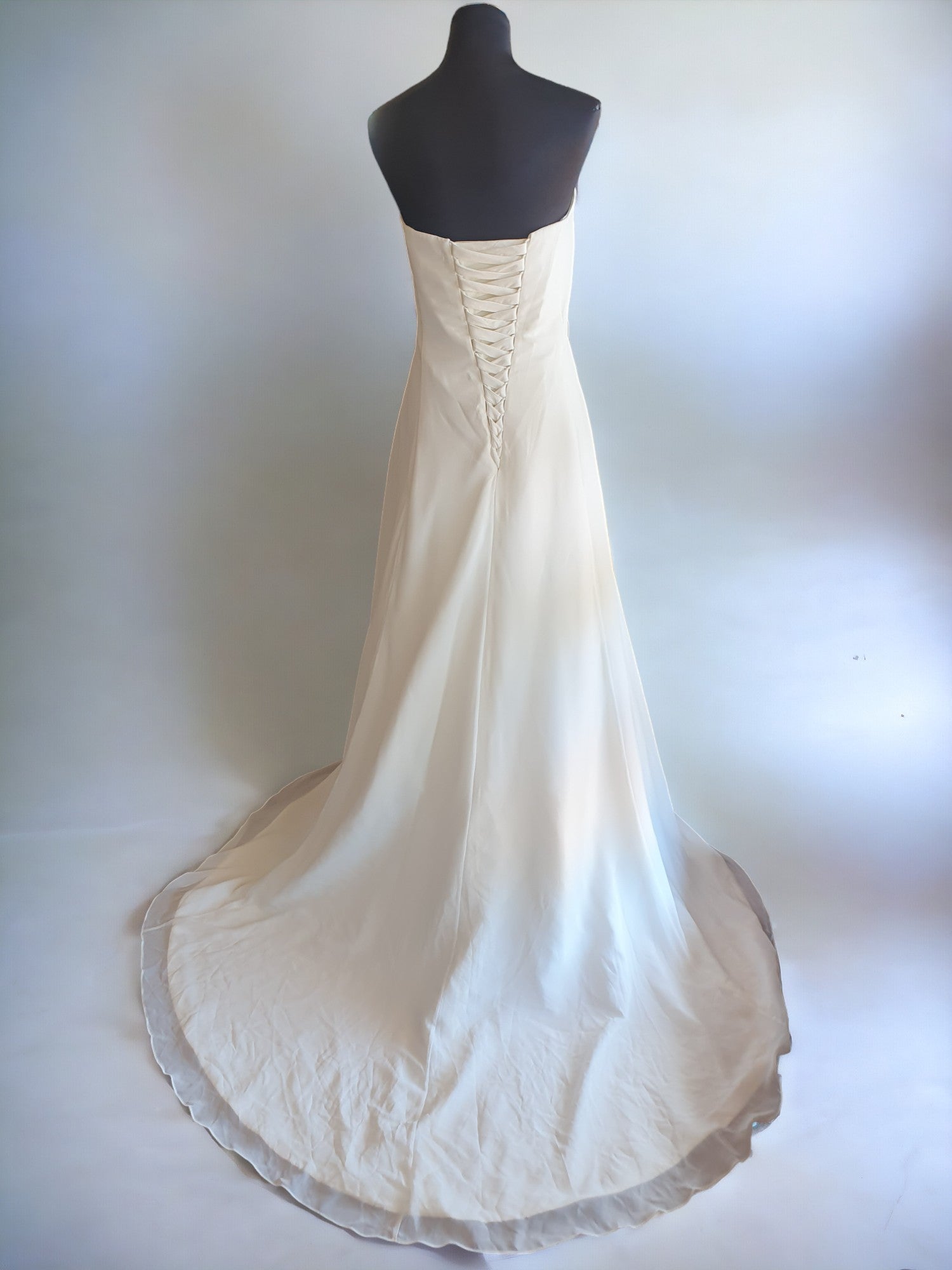 Strapless A-Line Gown, Size 22